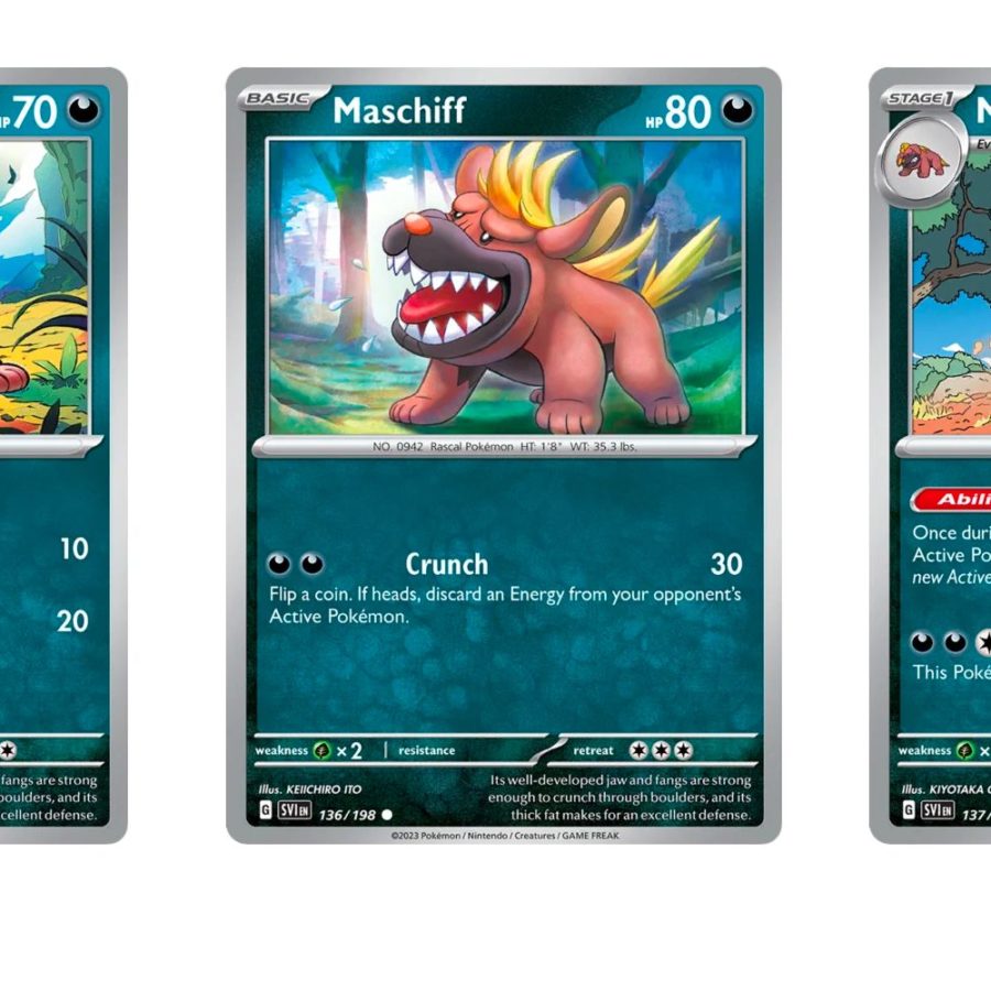 The Cards Of Pokmon TCG: Scarlet & Violet Part 32: Maschiff Line
