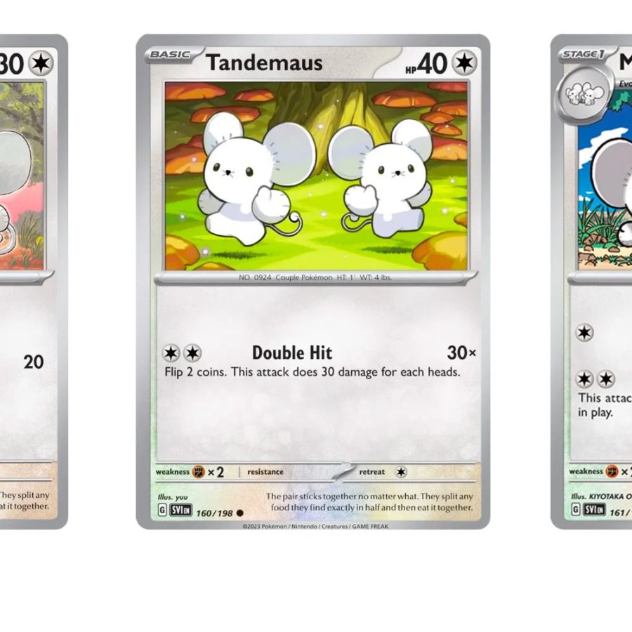 The Cards Of Pokmon TCG: Scarlet & Violet Part 37: Tandemaus Line The Cards Of Pokmon TCG: Scarlet & Violet Part 37: Tandemaus Line