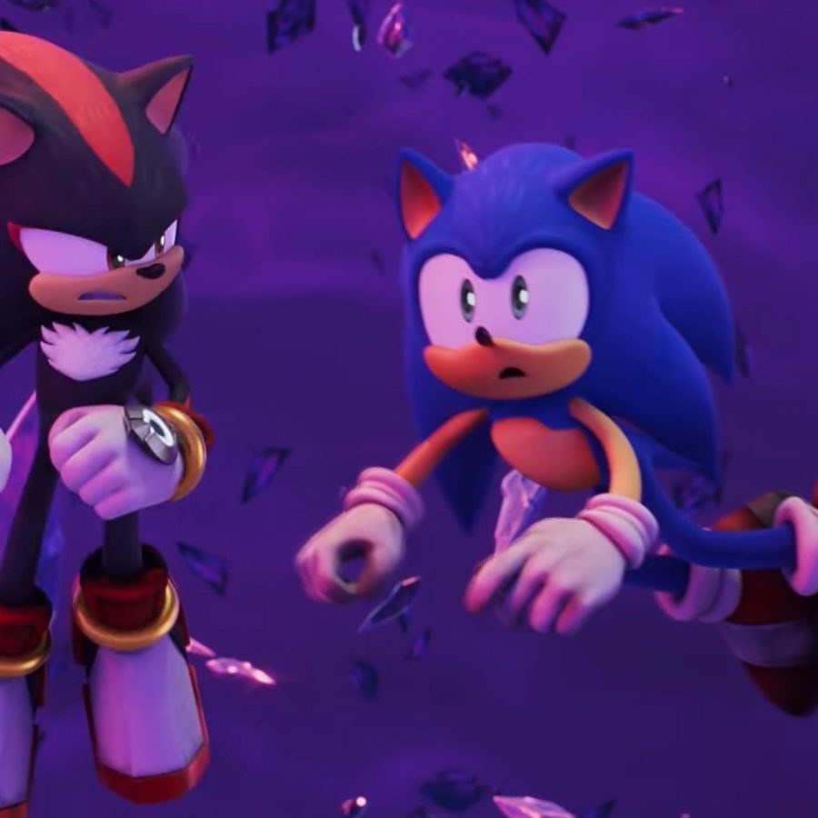 Sonic vs. Shadow Race(+ audience) quik art