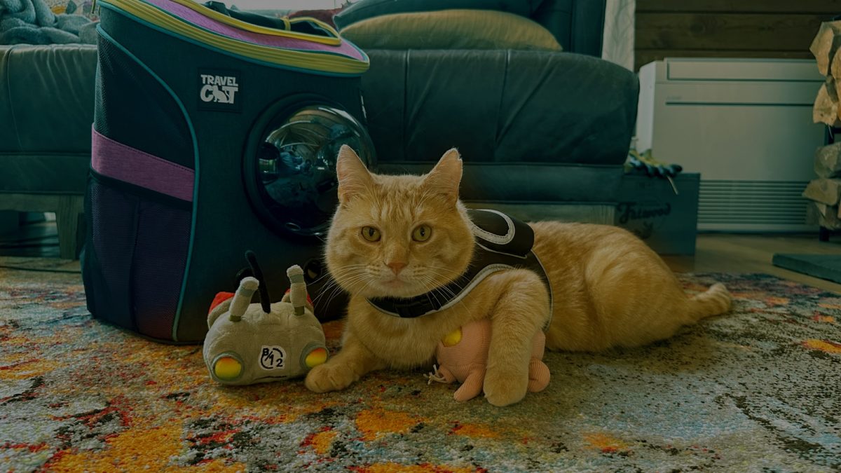 These Stray-Branded Accessories Let You Transport Your Cat With Futuristic  Flair - Game Informer