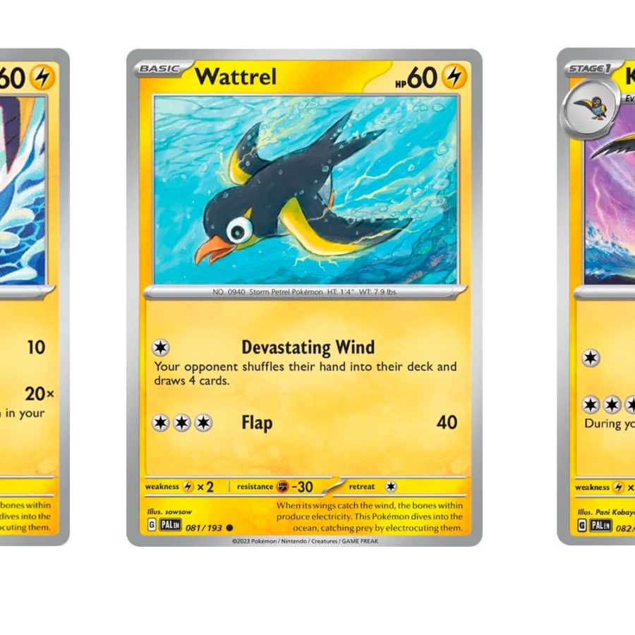 The Cards Of Pokmon TCG: Paldea Evolved Part 19: Wattrel Line