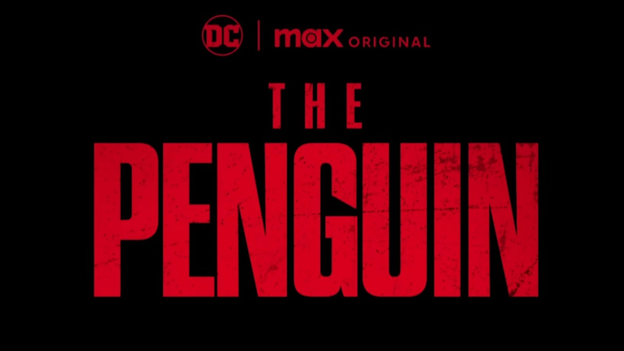 The penguin is dressed to impress but distracted in new preview image