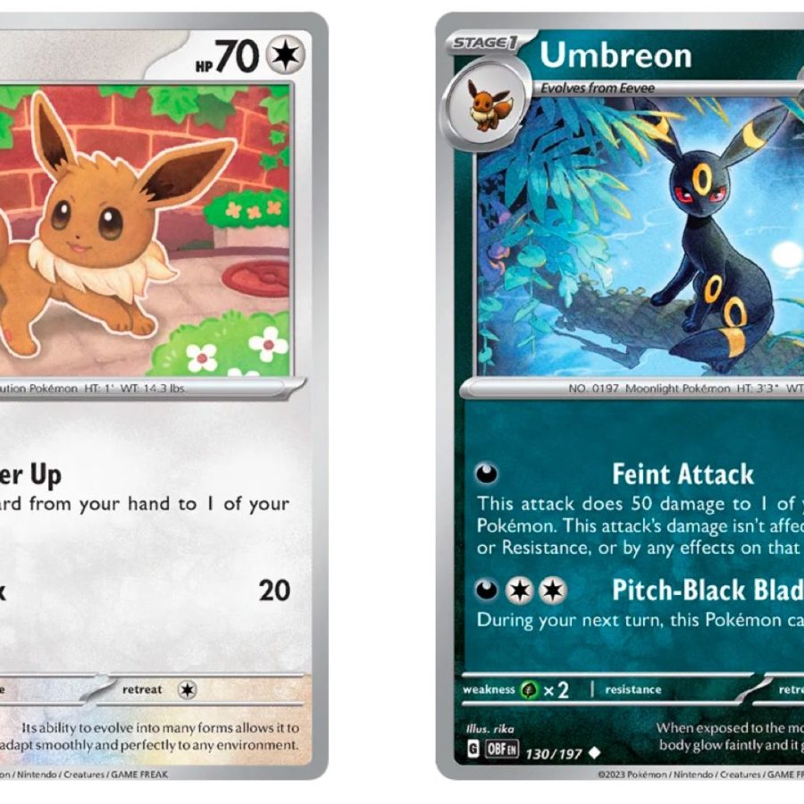 12 Facts About Umbreon 