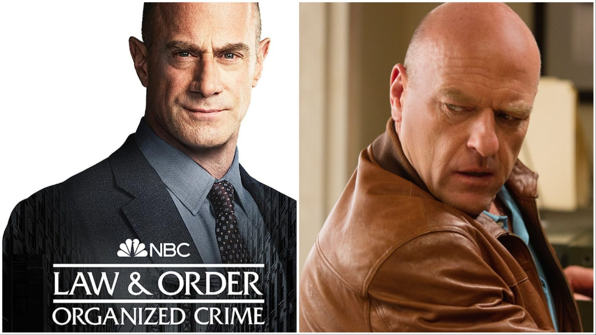 Dean Norris Cast as Stabler's Brother on Law & Order: OC