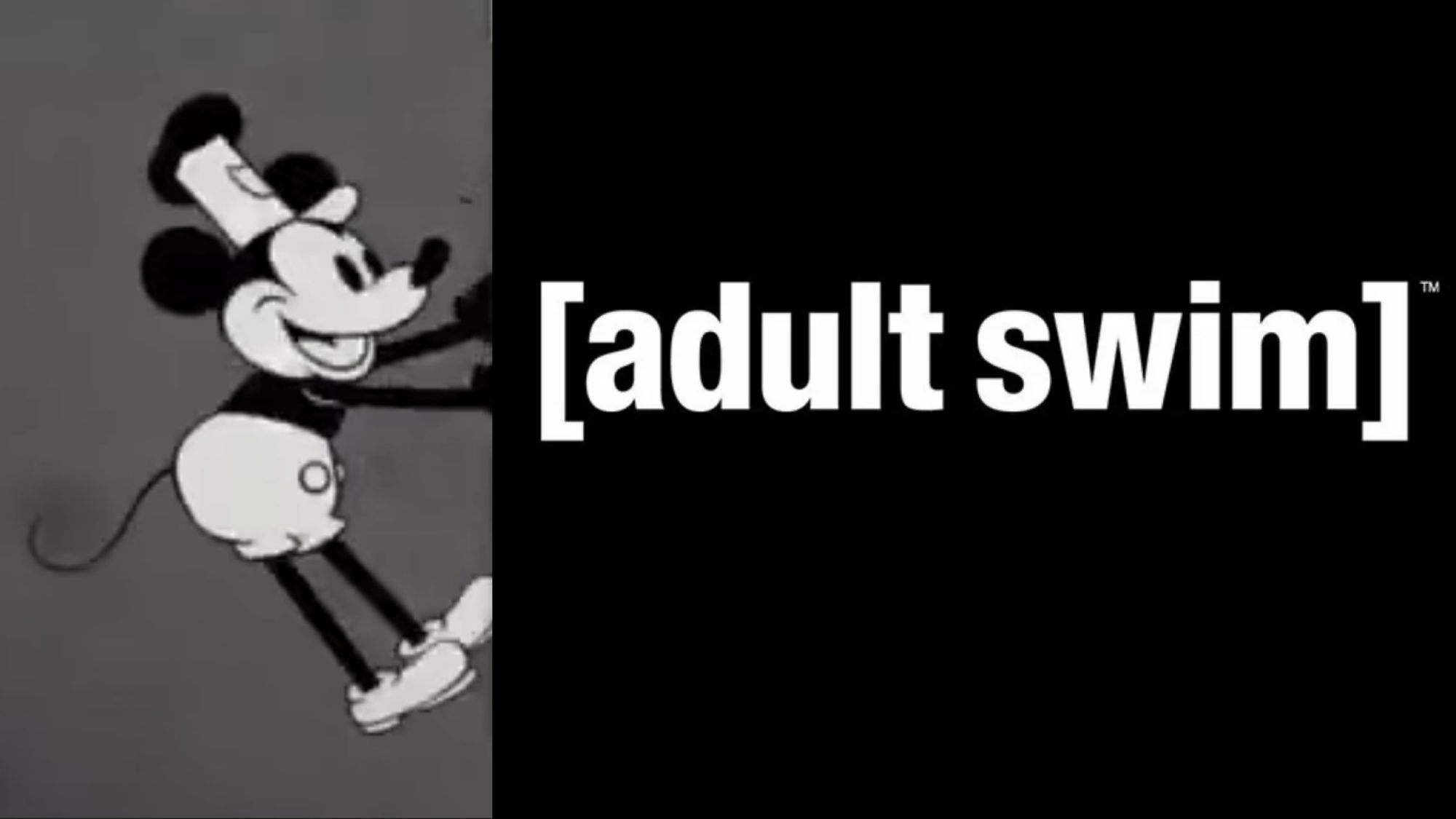 Adult Swim Introduces Its Own Steamboat Willie Mickey Mouse Video 3030