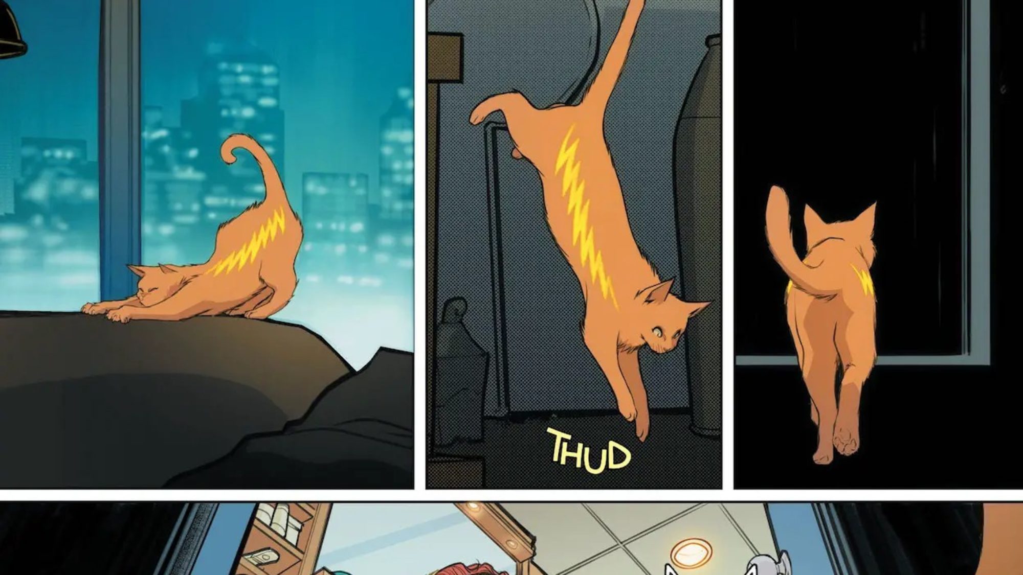 Feline Frenzy vs. Canine Chaos