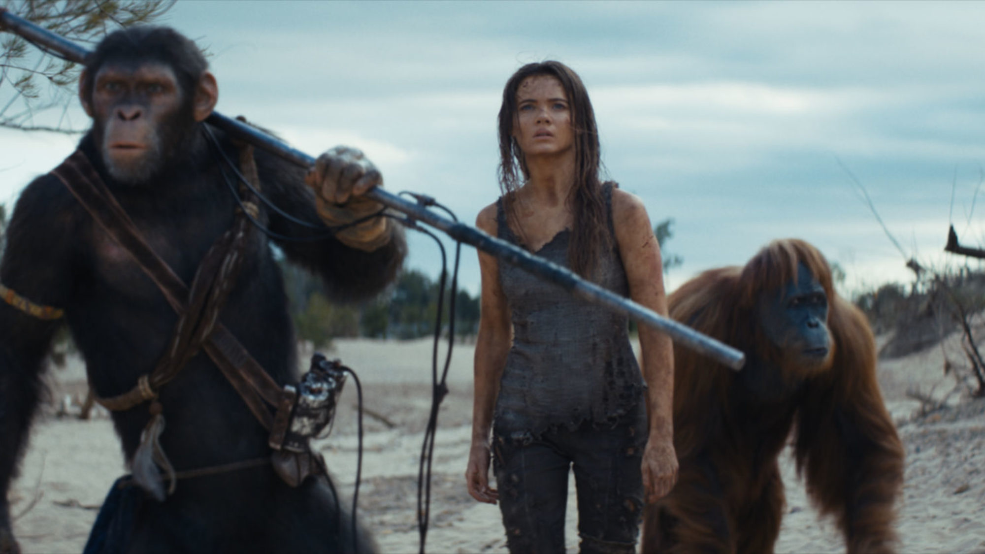 New Trailer, Posters, and Images For Kingdom of the Planet of the Apes