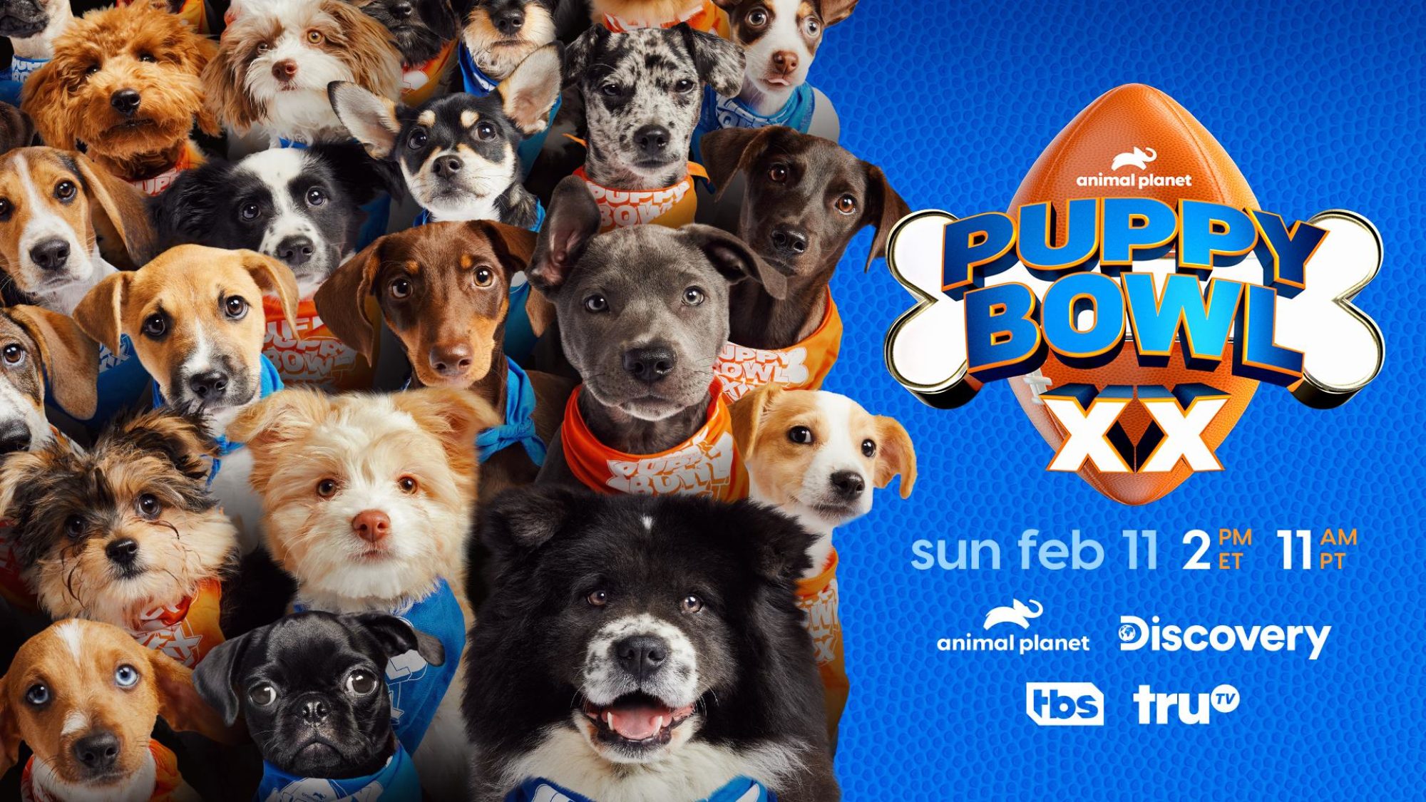 Puppy Bowl XX Trailer/Images: Check Out Team Ruff & Team Fluff!