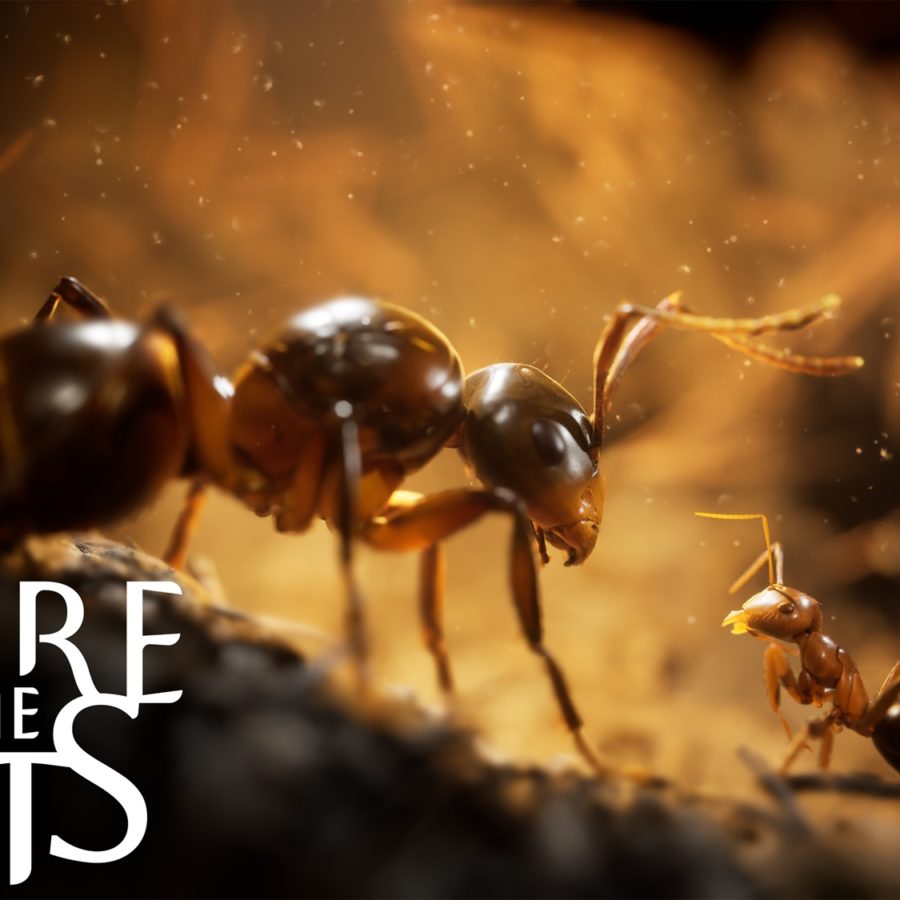 Empire Of The Ants Releases New Trailer Ahead Of GDC 2024