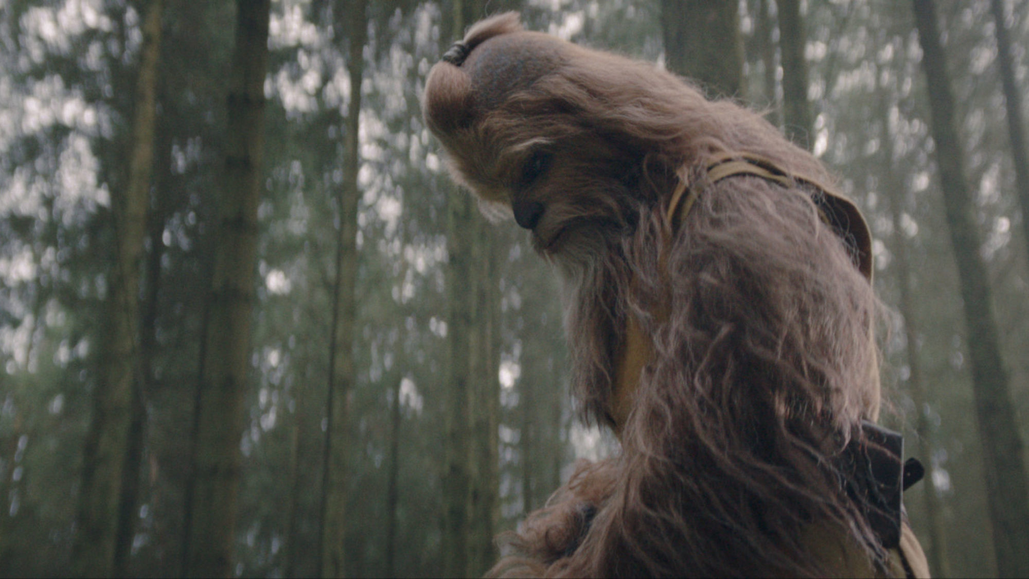 The Acolyte Star on Playing a Lightsaber-Slinging Wookie Jedi Master