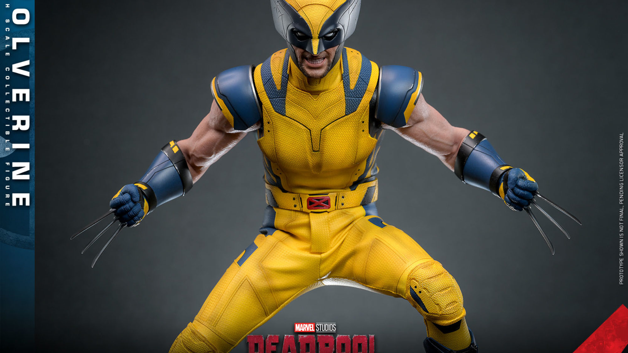 Hot Toys Unveils Uncanny 1/6 Wolverine from Deadpool & Wolverine