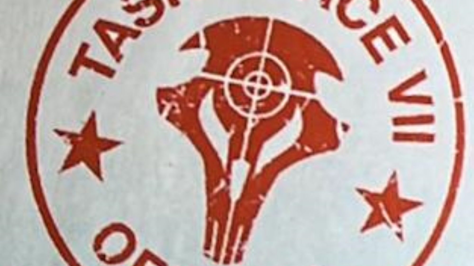 Marvel Doesn’t Want Punisher Skull? DC Will Take It For Task Force VII