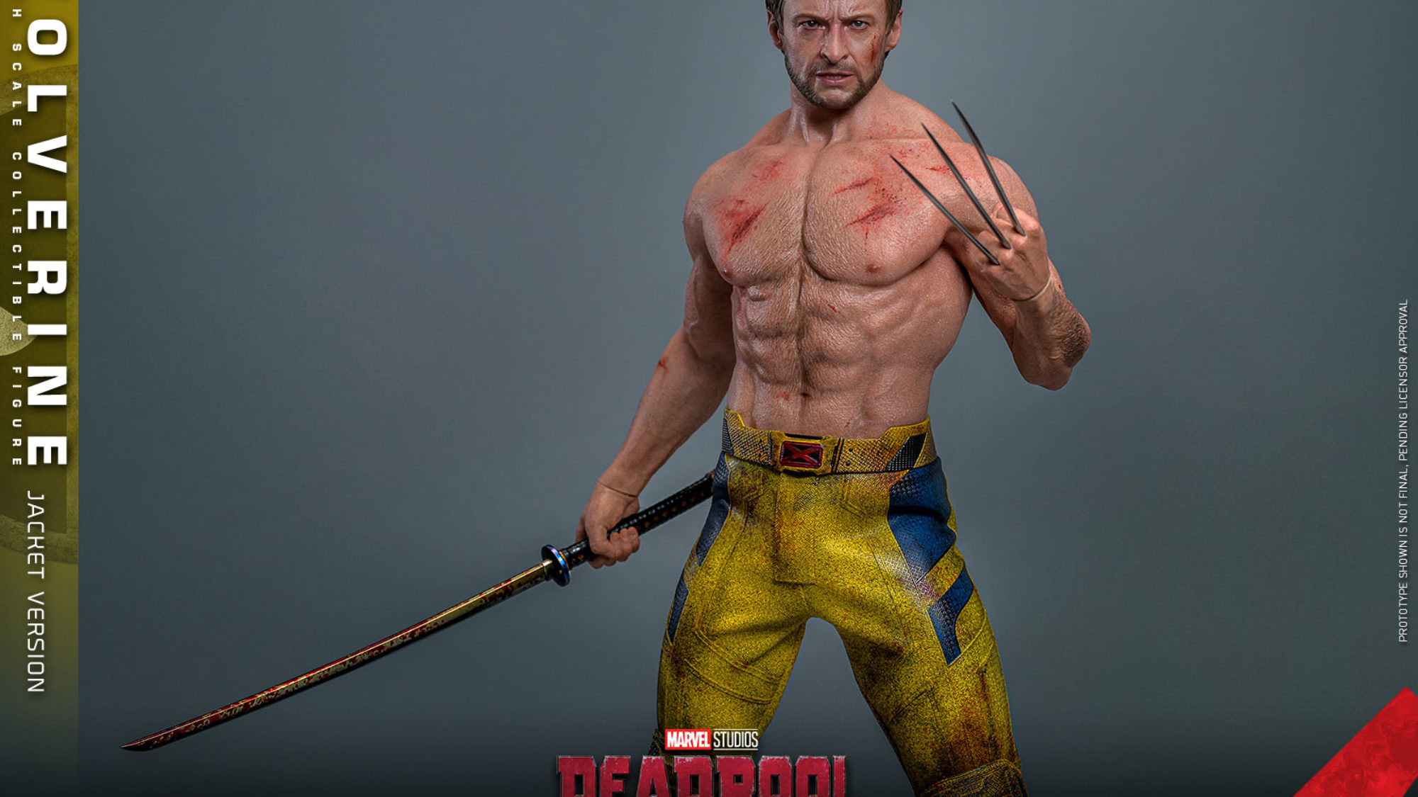 Hot Toys Debuts New 1/6 Shirtless Wolverine from Deadpool & Wolverine