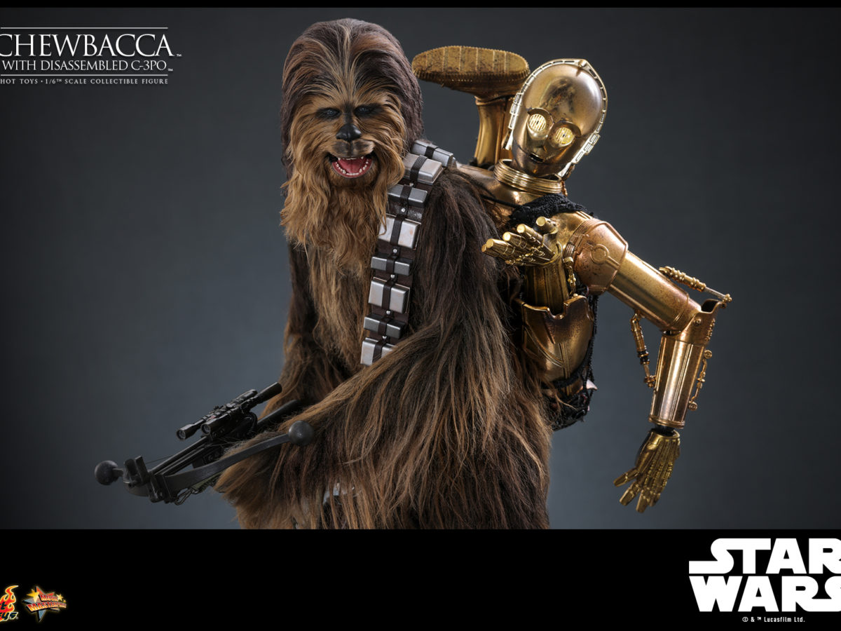 Star Wars: Episode V 1/6 Chewbacca with C-3PO Hot Toys Revealed