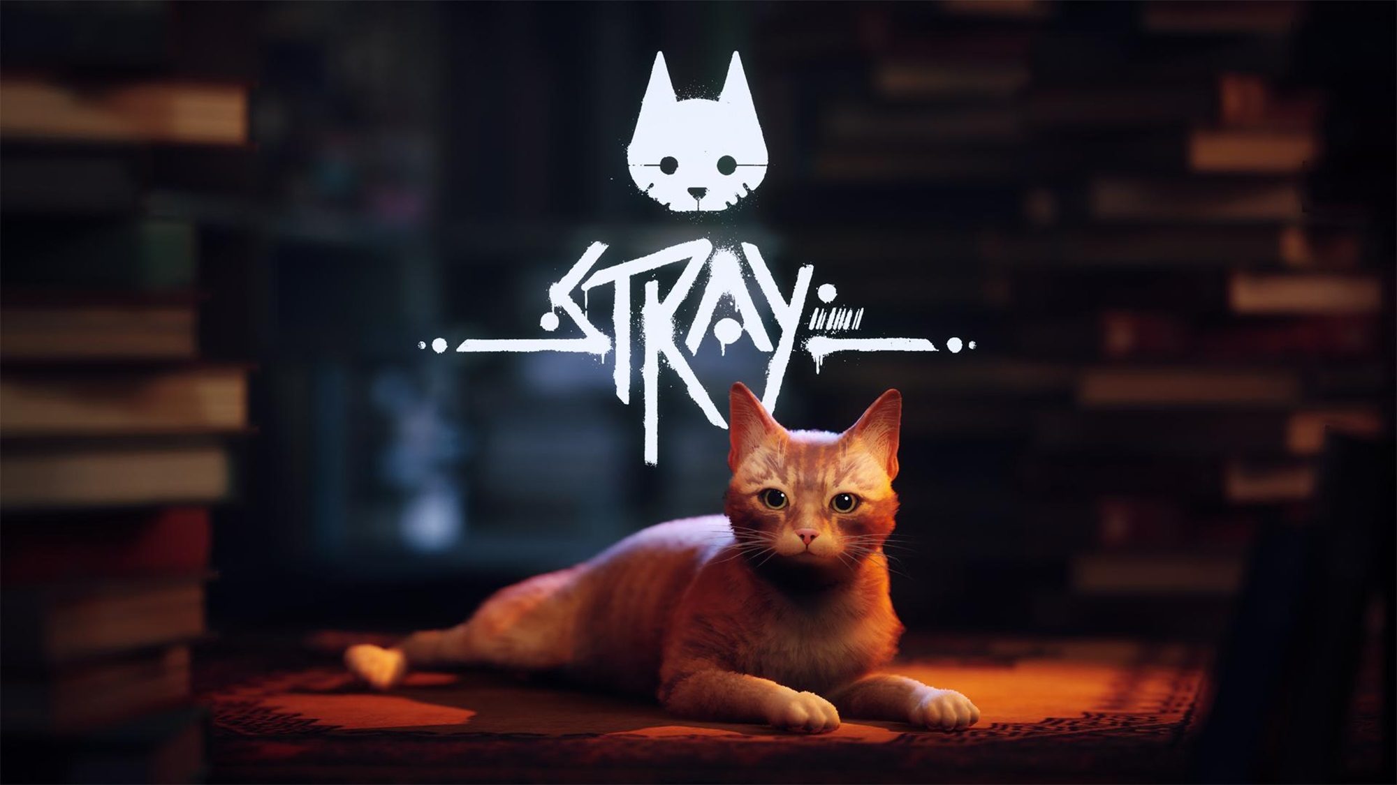 Stray-Switch-Art-2000x1125.jpg