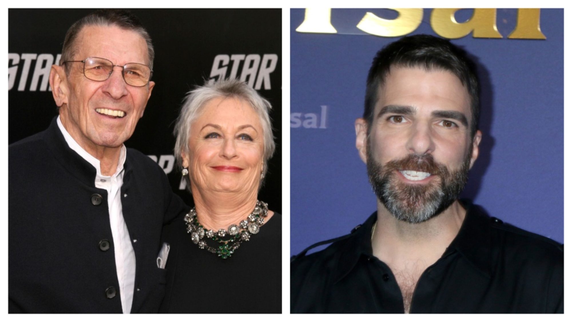 Brilliant Minds Leonard Nimoy's Widow Susan Set for Quinto Series(00)