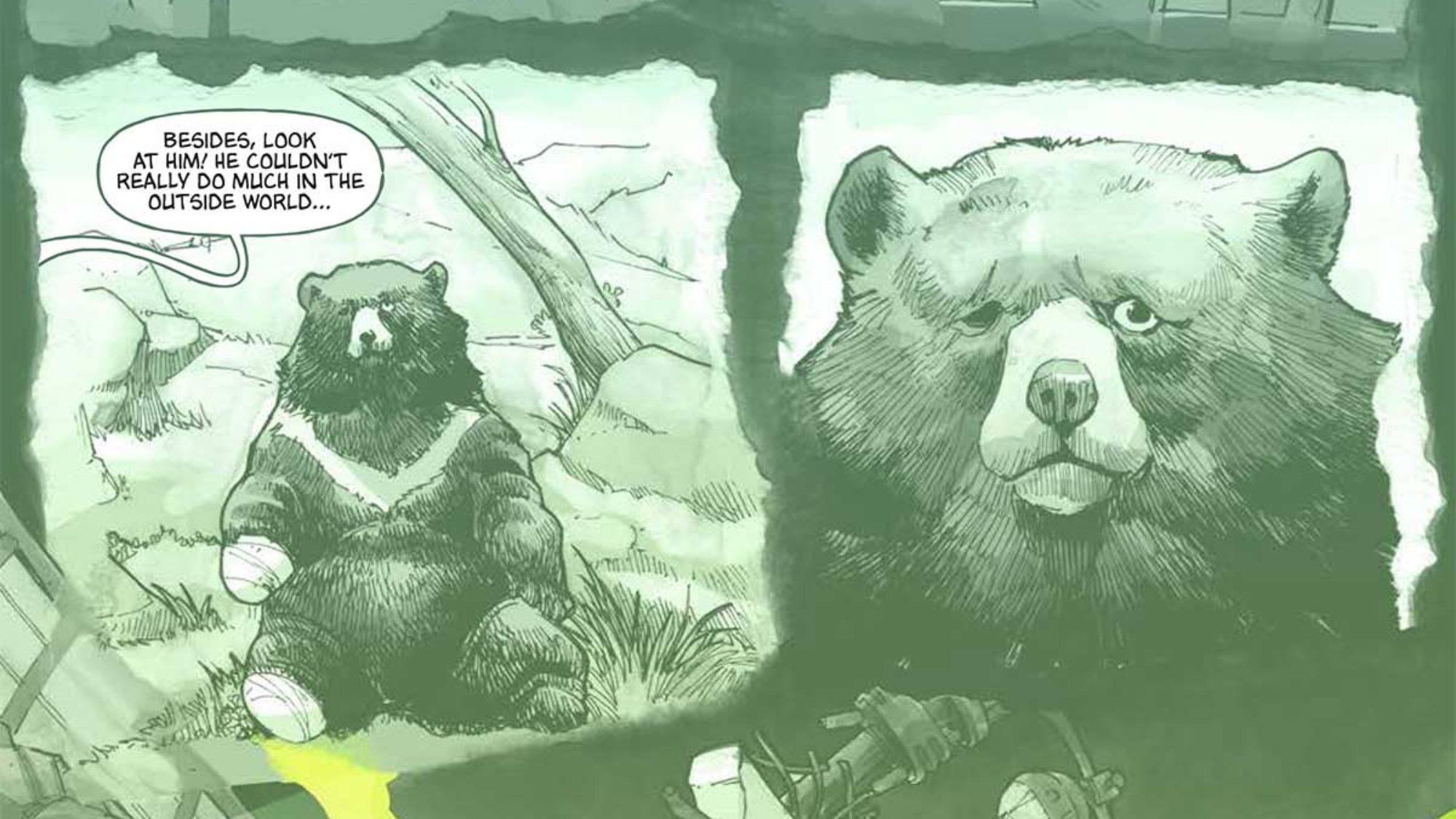 Teenage Mutant Ninja Turtles: Nightwatcher #5 Preview: Bear-y Bad News