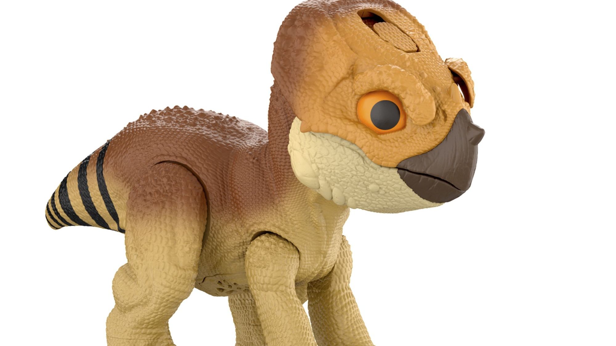 恐竜　palupalu_felt Amazon.co.jp: ポーズスケルトン 恐竜シリーズ107 パキケファロ