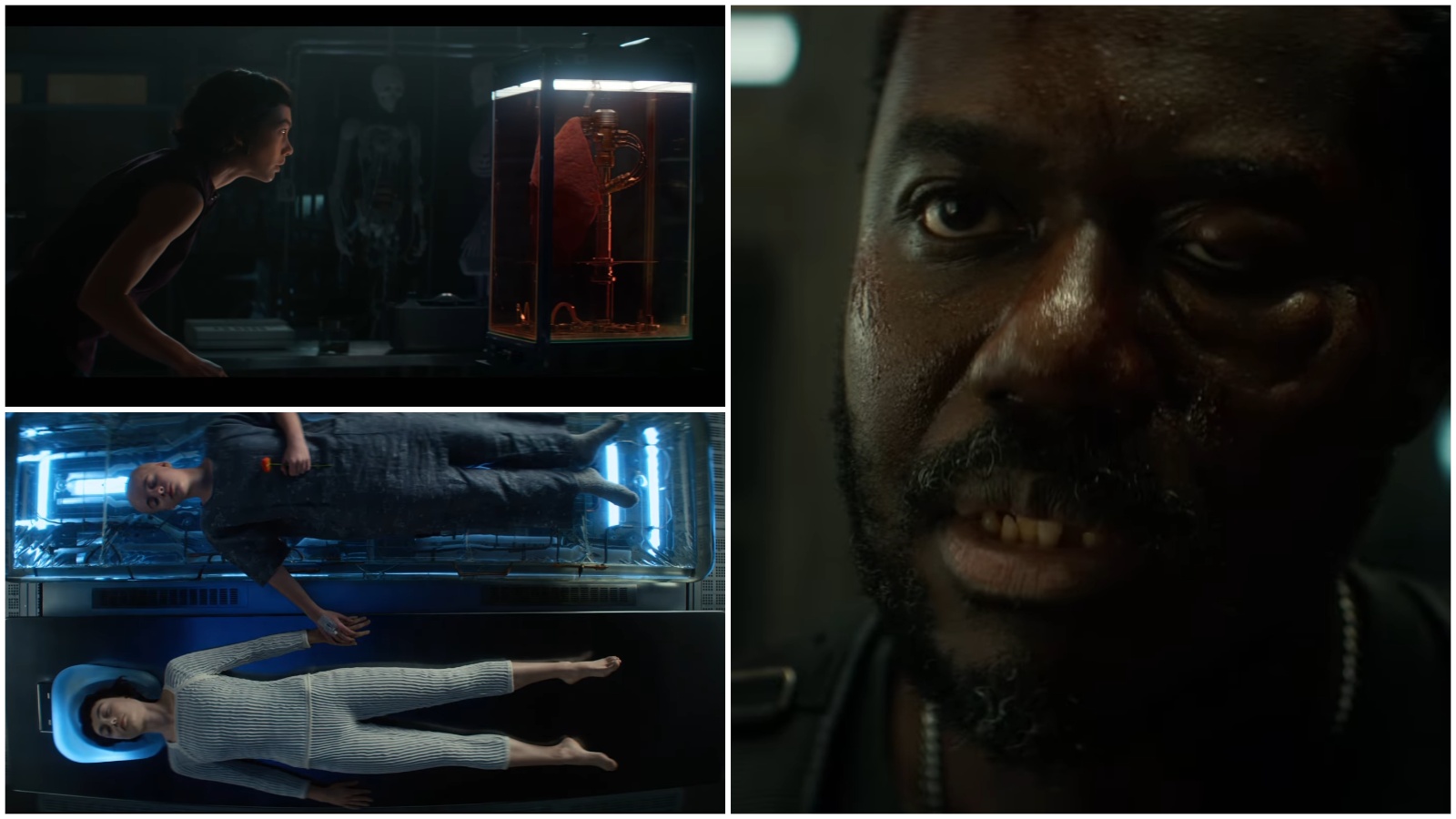 Alien: Earth Teaser: Being "More Than Human" Comes with a Price