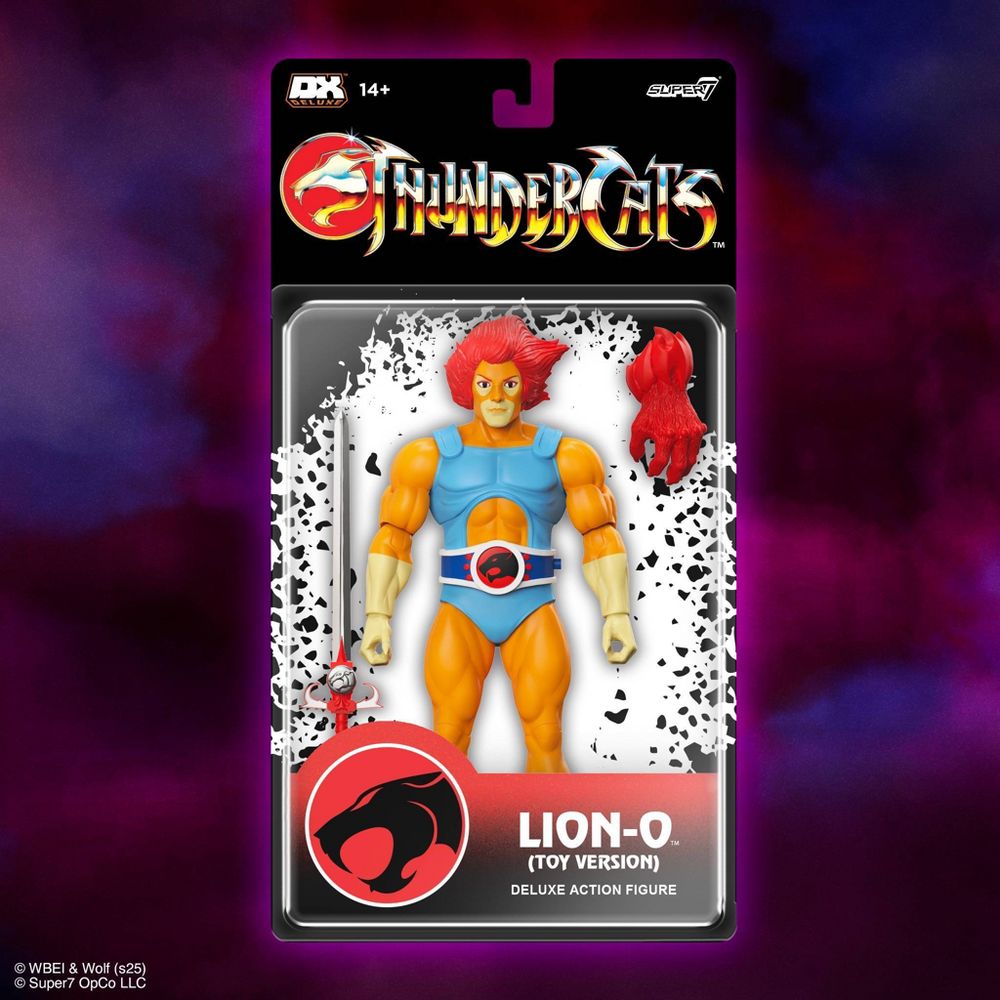 Leon Sadler Sun Flowers　レオン・サドラー　限定100部 Super7 Deluxe ThunderCats LJN Lion-O & Snarf In Hand Images