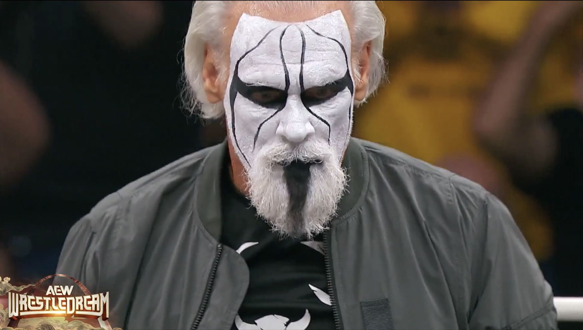 AEW WrestleDream Live: Sting Returns to Help Darby Allin Win