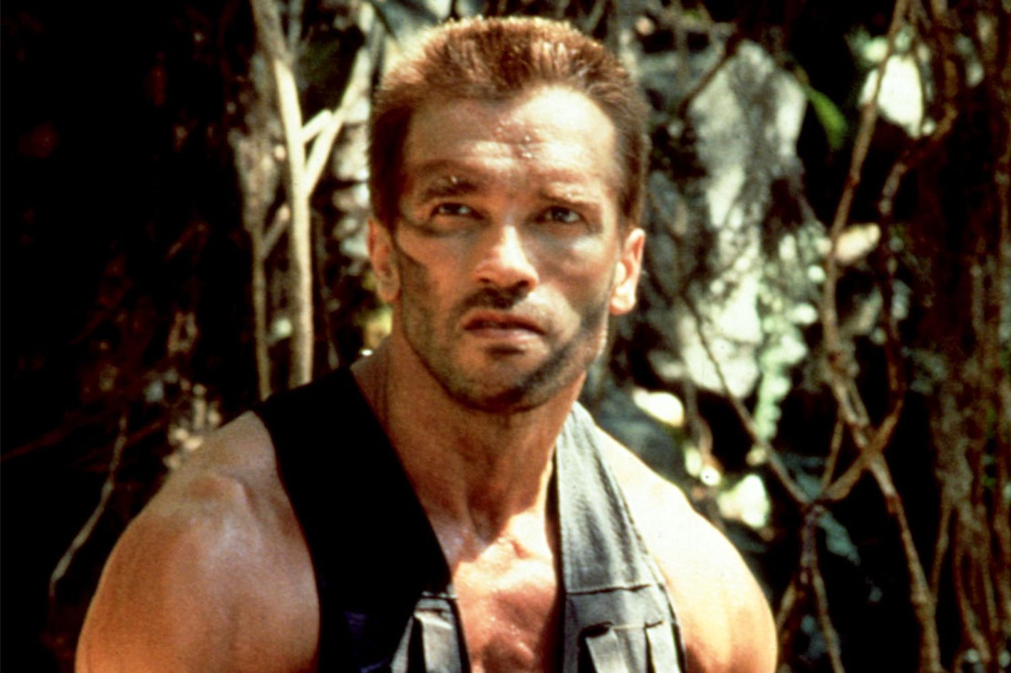 Predator Return For Arnold? Badlands Producers Are Talking About It