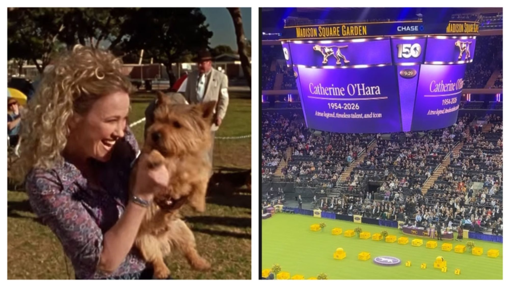 Westminster Dog Show Tribute Honors "Best in Show's" Catherine O'Hara