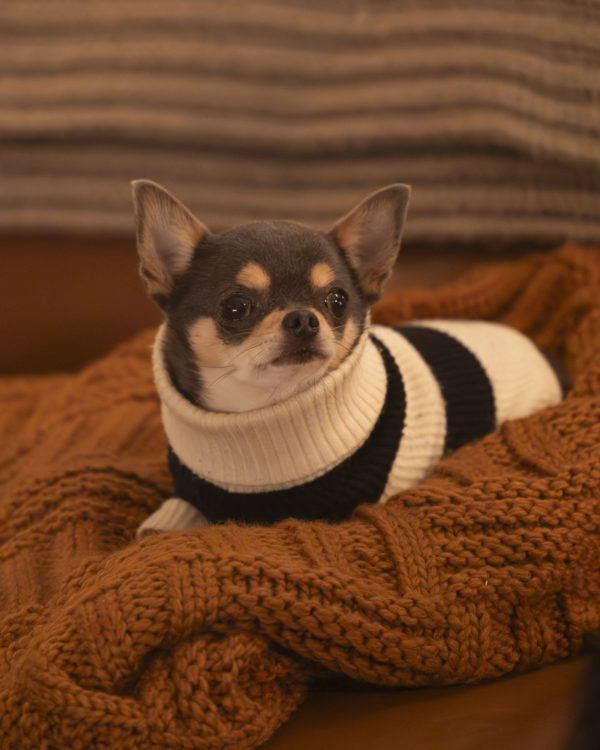 Will Trent S04E15: "The Blank Expanse of Nothing" Preview Released