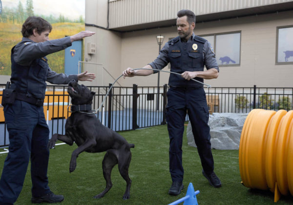 Animal Control Action Hero, Frank Shaw?!? Here's Our S04E11 Preview