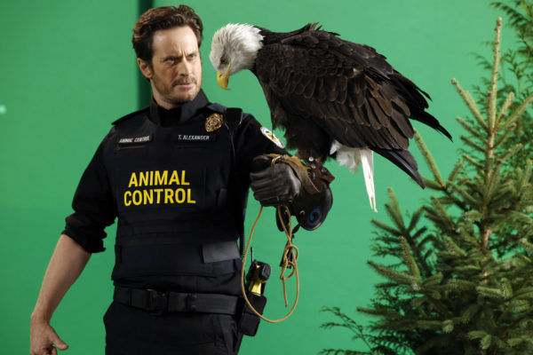 Animal Control Action Hero, Frank Shaw?!? Here's Our S04E11 Preview