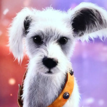 A digitally created fluffy white dog with a prominent ear and an orange collar, set against a colorful, blurred background.