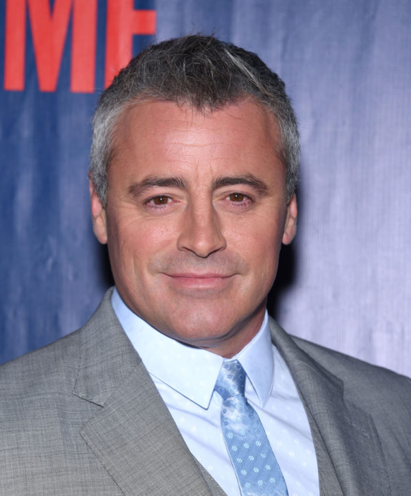 CBS Gives Development Green Light to Matt LeBlanc Cop Drama Flint