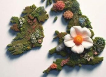 The Moon And Serpent Party, Drugs And Magic In The UK Local Elections