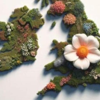 The Moon And Serpent Party, Drugs And Magic In The UK Local Elections